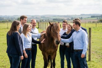 Groupe divers de personnes avec un cheval en prairie